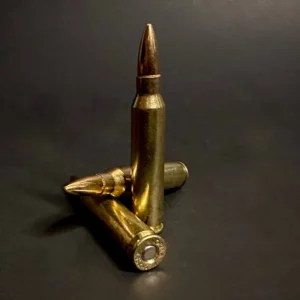 223 / 5.56 55gr. FMJ