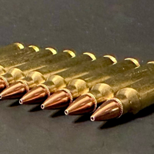223 / 5.56 69gr. BTHP